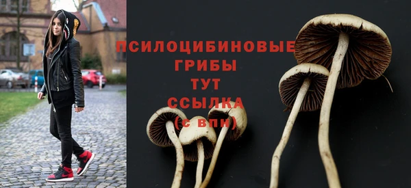 прущая мука Сосновка