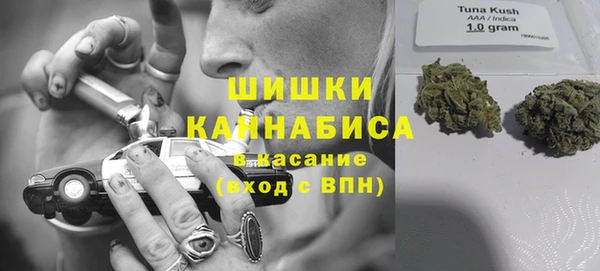 ПСИЛОЦИБИНОВЫЕ ГРИБЫ Сосновоборск