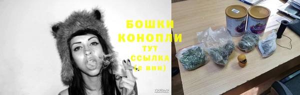 винт Гусь-Хрустальный