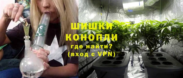 дурь Горняк