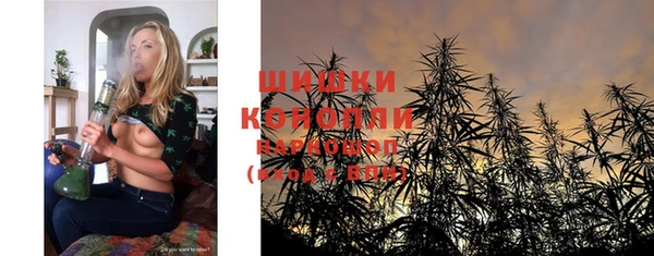 дурь Горняк