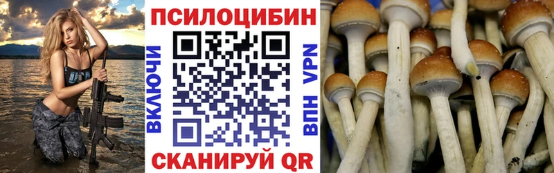Галлюциногенные грибы Psilocybe  кракен   Катайск  что такое  